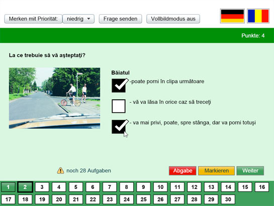 Bild: Fragebogen auf rumänisch (www.my-Führerschein.de)